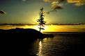 Norfolk Island (Emily Bay).jpg